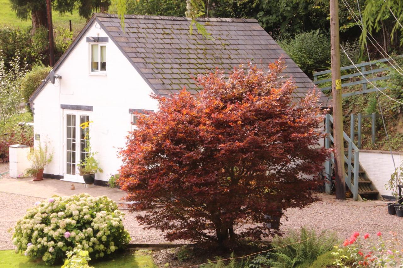 Garn Lodge Newtown  Exterior foto